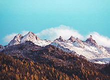 JDG发布胜利之舞：请找出跳的最享受和最僵硬的人